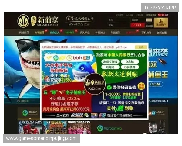 新葡京游戏：多样化的游戏选择满足不同玩家的需求，开启属于你的幸运之旅