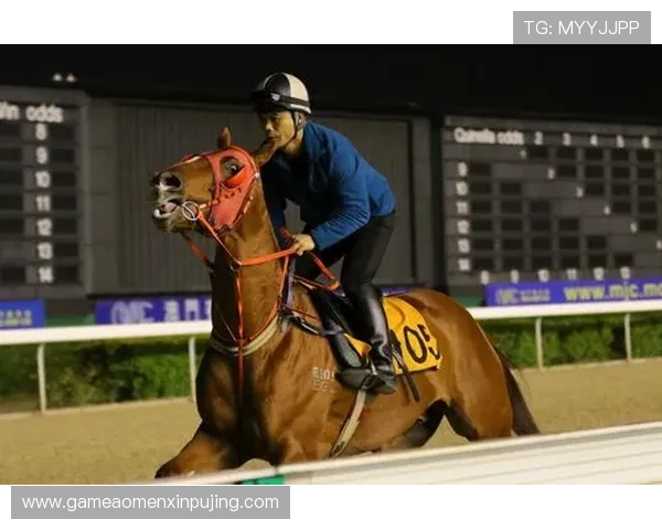 澳门宣布4月停办赛马赛事引发行业震动与未来发展新思考